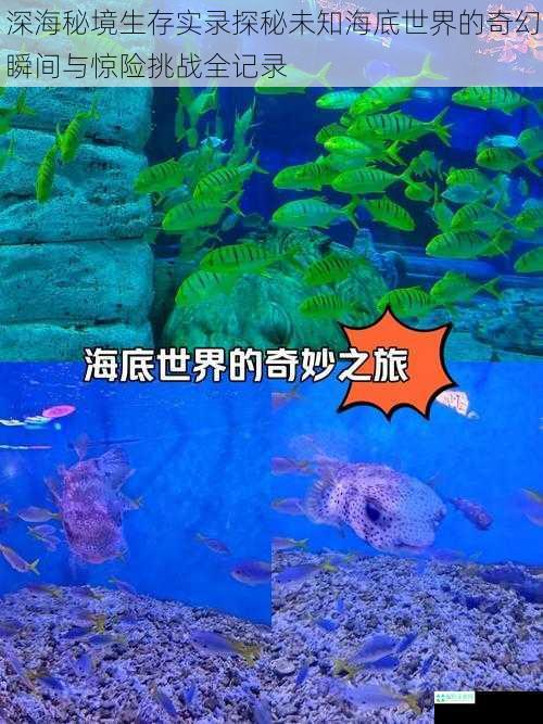 深海秘境生存实录探秘未知海底世界的奇幻瞬间与惊险挑战全记录