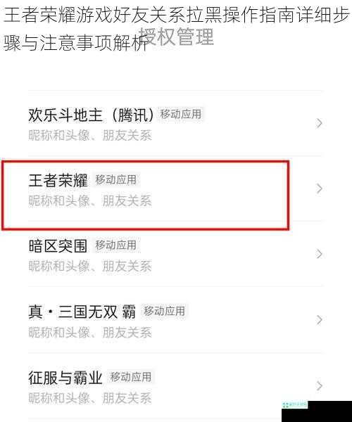 王者荣耀游戏好友关系拉黑操作指南详细步骤与注意事项解析
