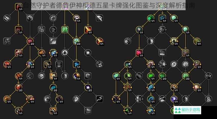 自然守护者德鲁伊神棍德五星卡牌强化图鉴与深度解析指南